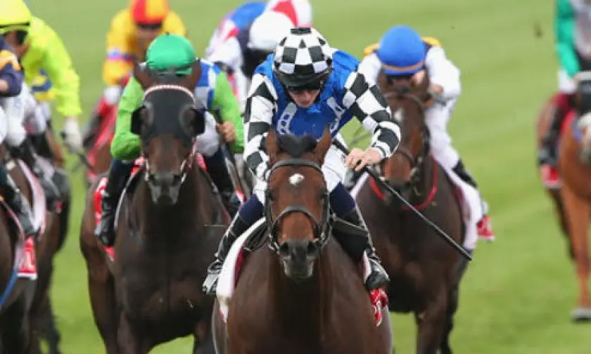 best horse racing handicap ratings handicappers best horse racing handicap ratings handicappers