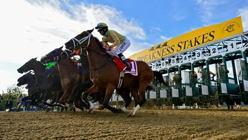 Lucky Bets in Horse Racing