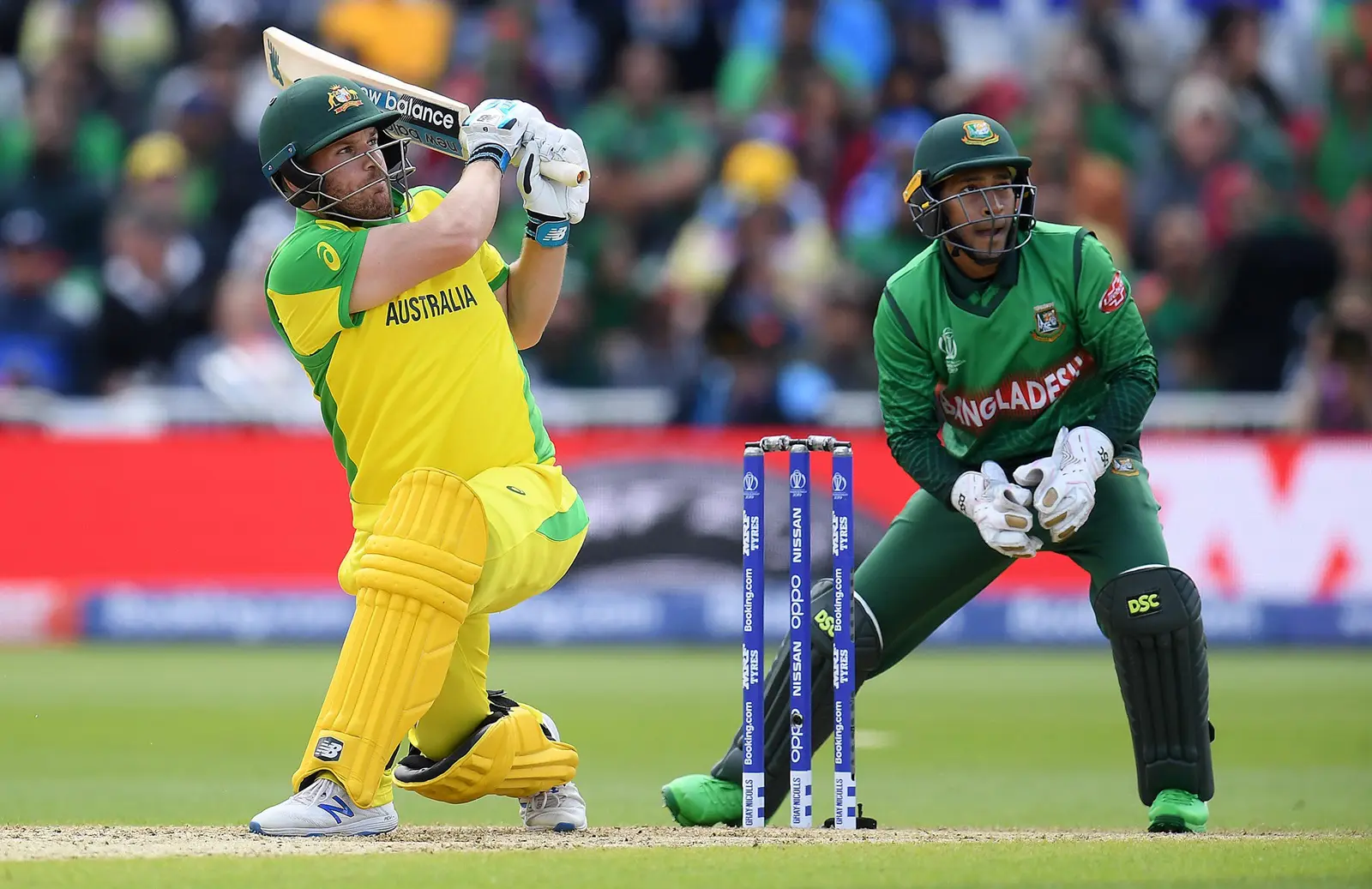 icc world cup bets cricket betting odds
