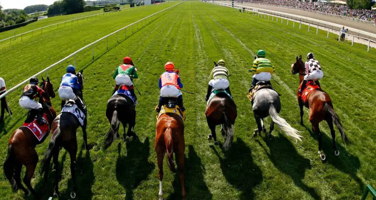 Backing Horse Racing Outsiders