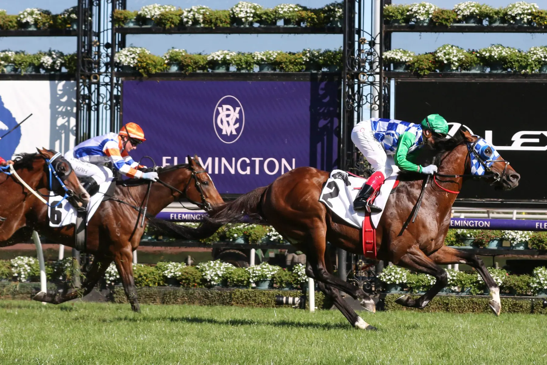 what is sp in horse racing betting
