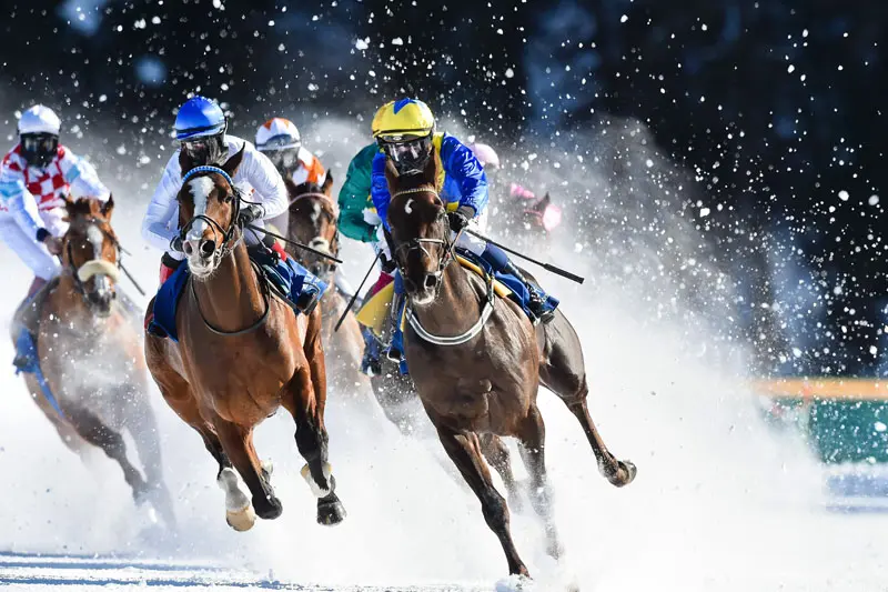 Five Considerations before Placing a Bet on Flat Racing