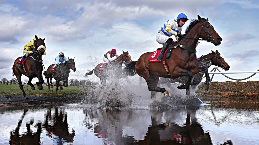 Horse Racing festivals