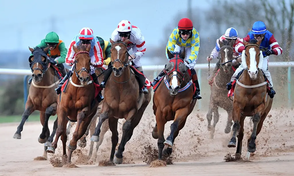 horse racing betting betting offers