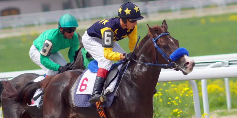 Virtual horse racing betting sites online