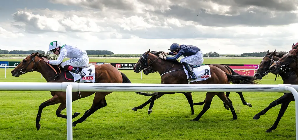 How Does the Draw Affect a Flat Horse Race?
