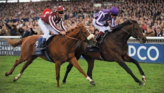 Picking a Flat Racing Winner in Horse Racing