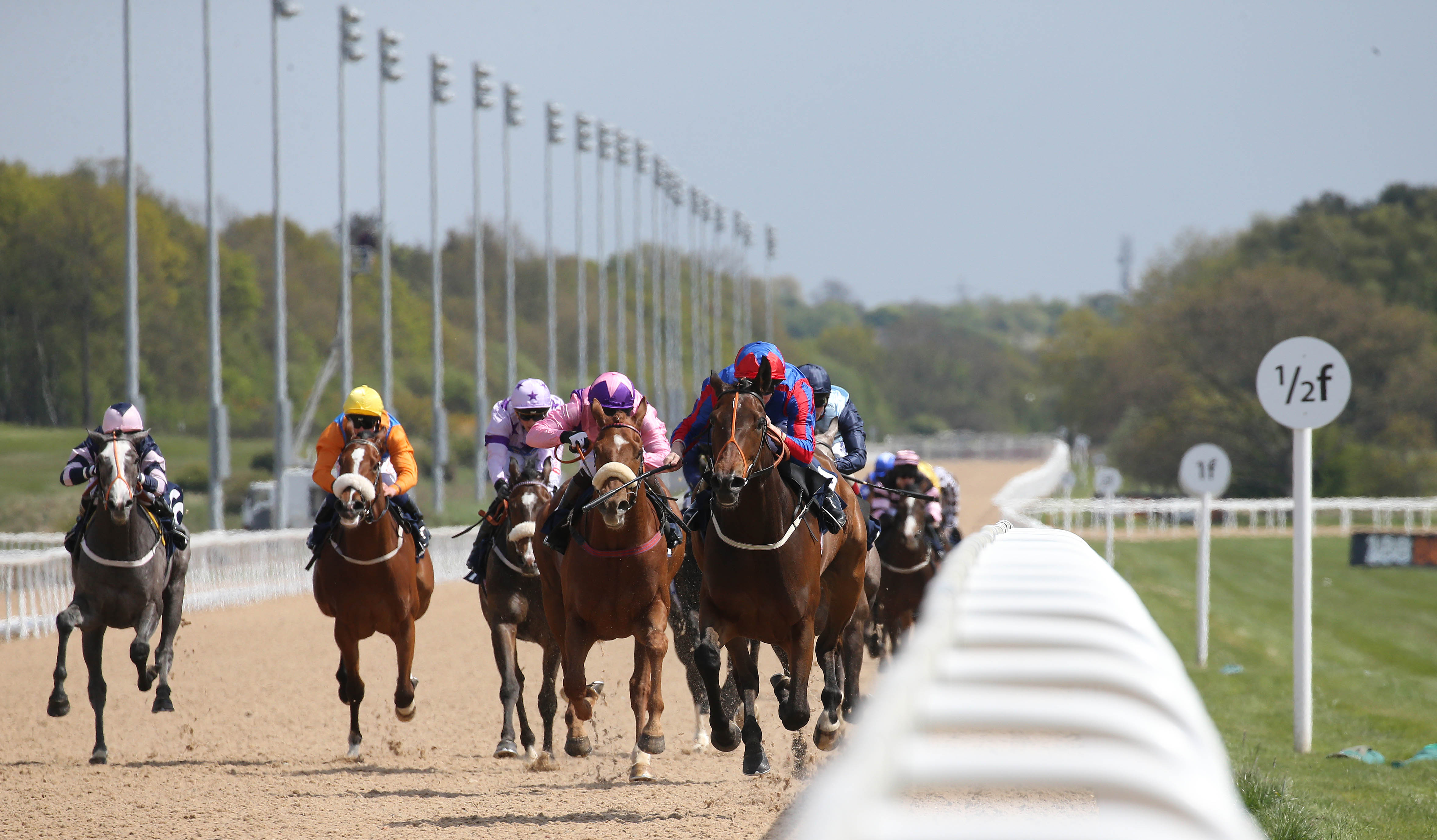 Specialize in One or Two Race Types