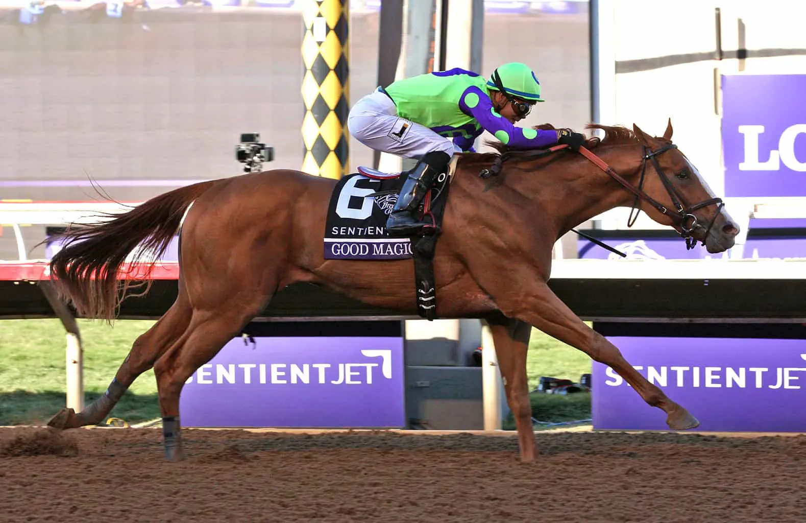 The Basics of Picking a Flat Racing Winner in Horse Racing