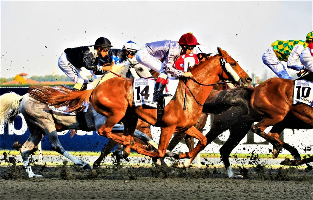 The Top Three Flat Race Moments of the Year