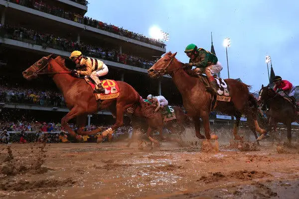 horse racing system bookmaker