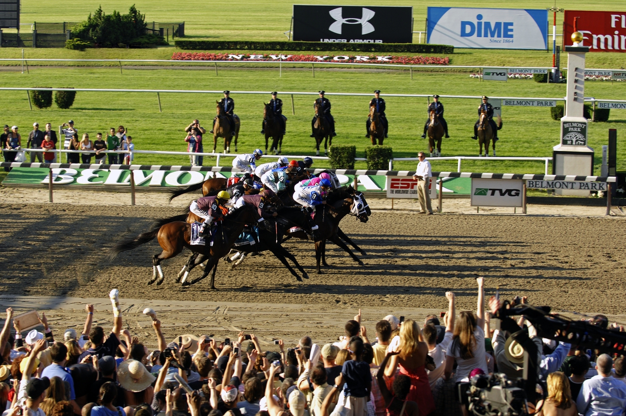 what does show mean in horse racing