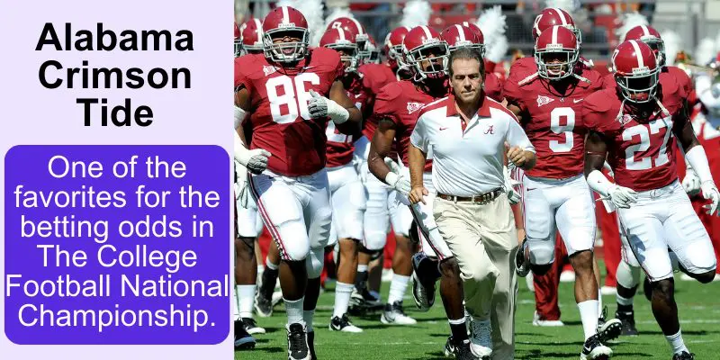 best-us-ncaaf-college-football-sports-bets