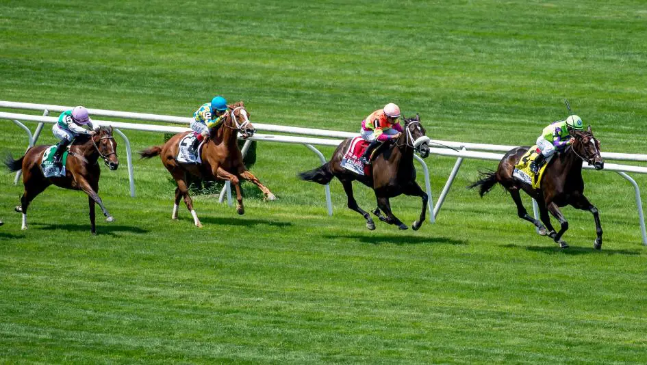 betting sites with free registration bonus in india
