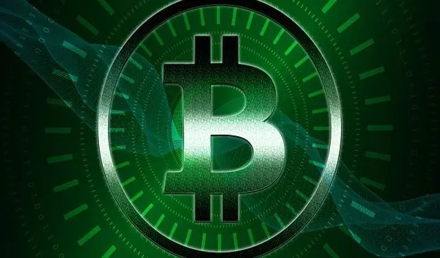 bitcoin cash bet sports betting sportsbook