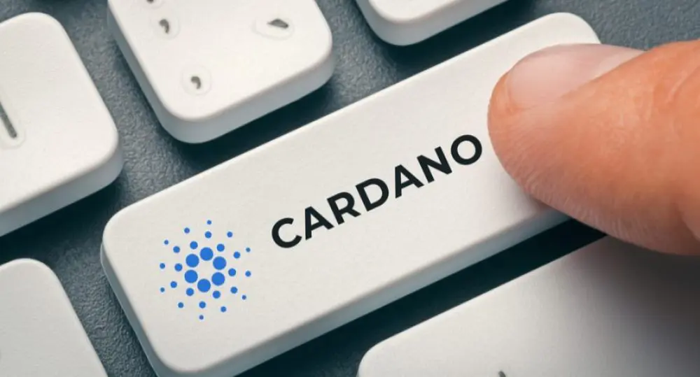 cardano coin price pros and cons