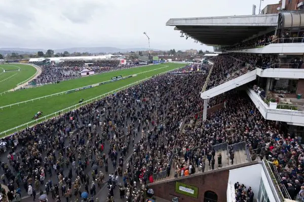 cheltenham-crowd