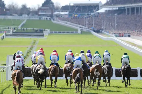 cheltenham-festival-betting-guide