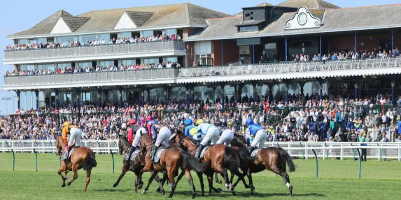 coral-scottish-grand-national