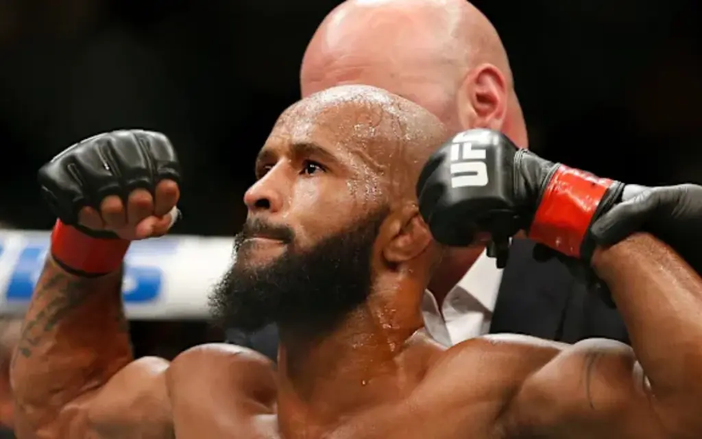 demetrious-johnson-weight-classes-in-the-ufc