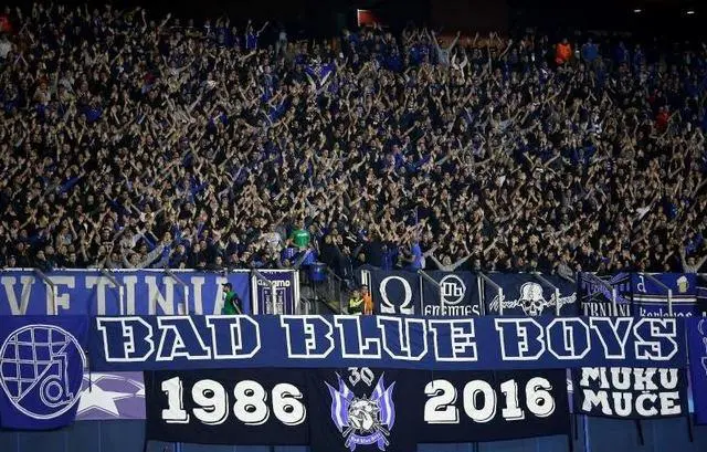 bad blue boys dinamo zagreb hooligans