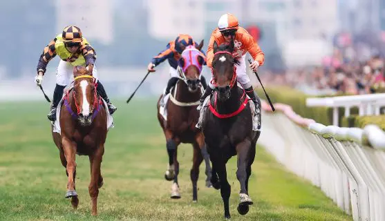 featured-image-horse-racing