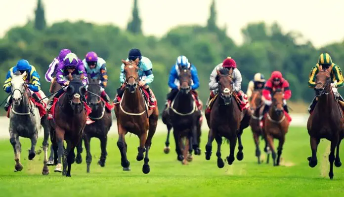 place bet backing horse
