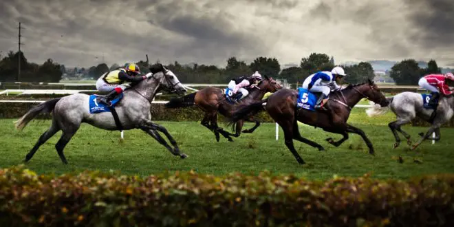 flat racing