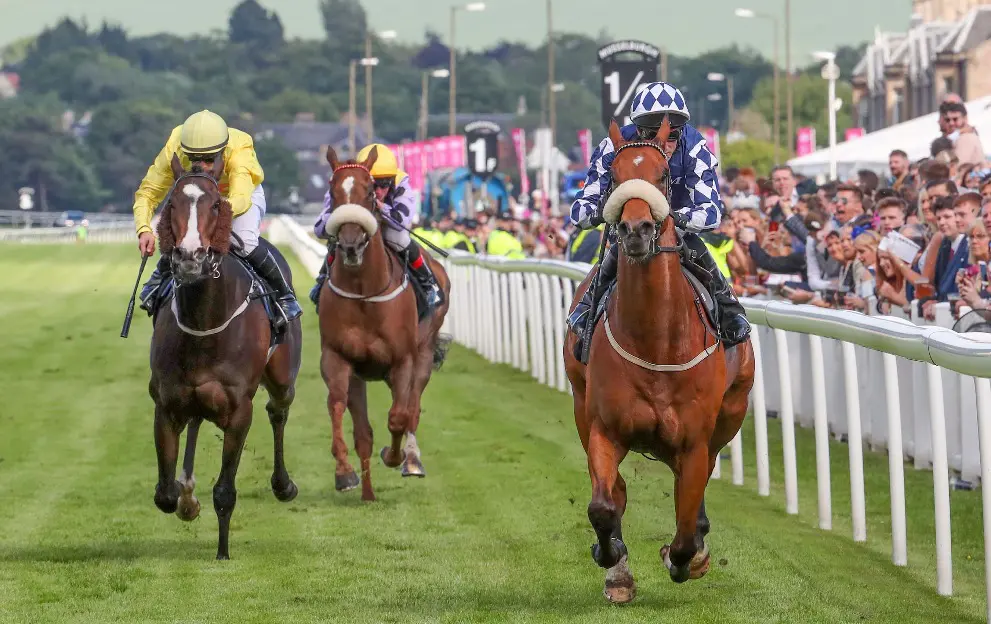 horse racing best odds guaranteed free bet