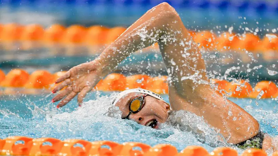 olympics swimming betting odds