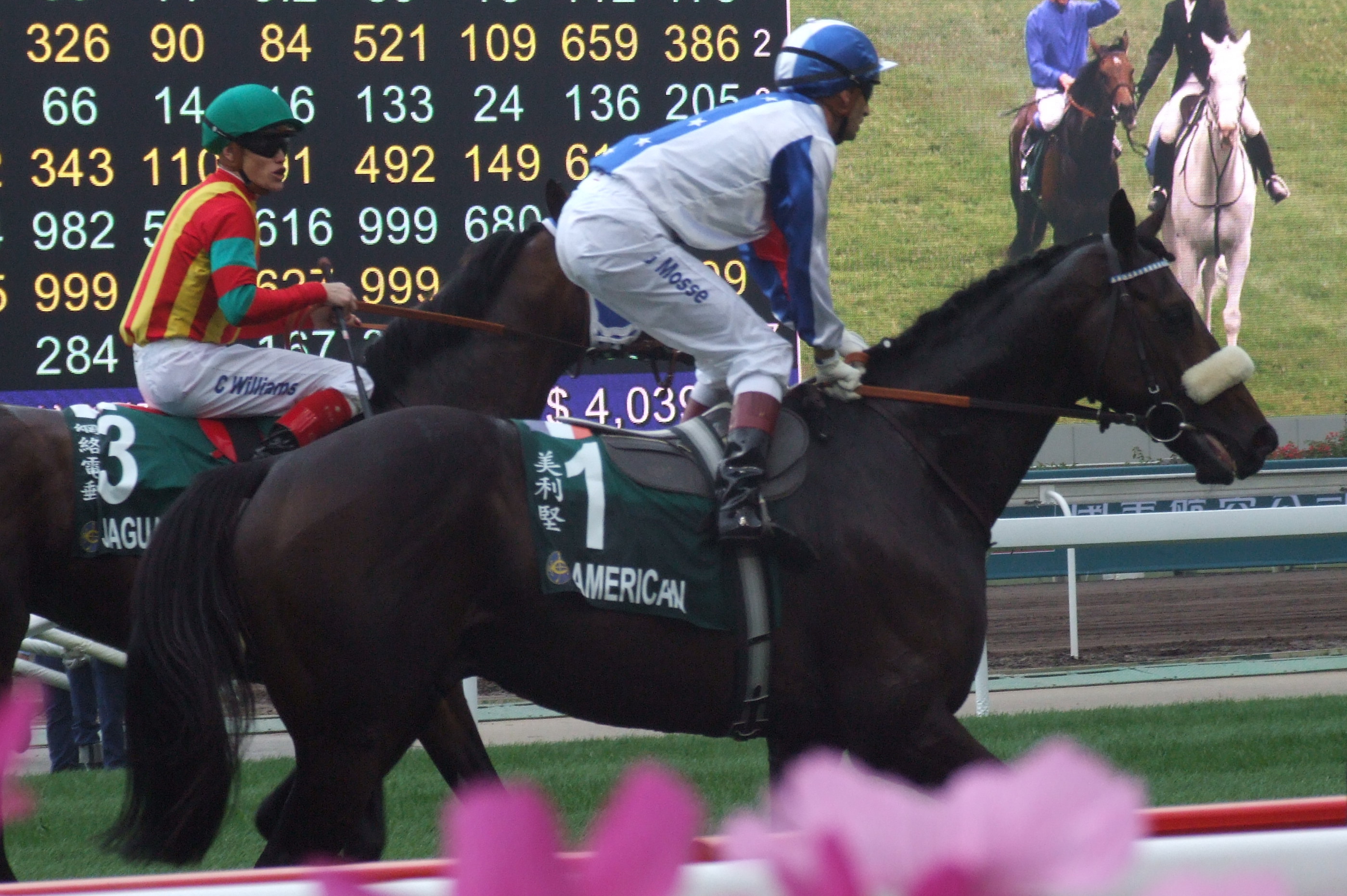 horse race how to handicap horses 