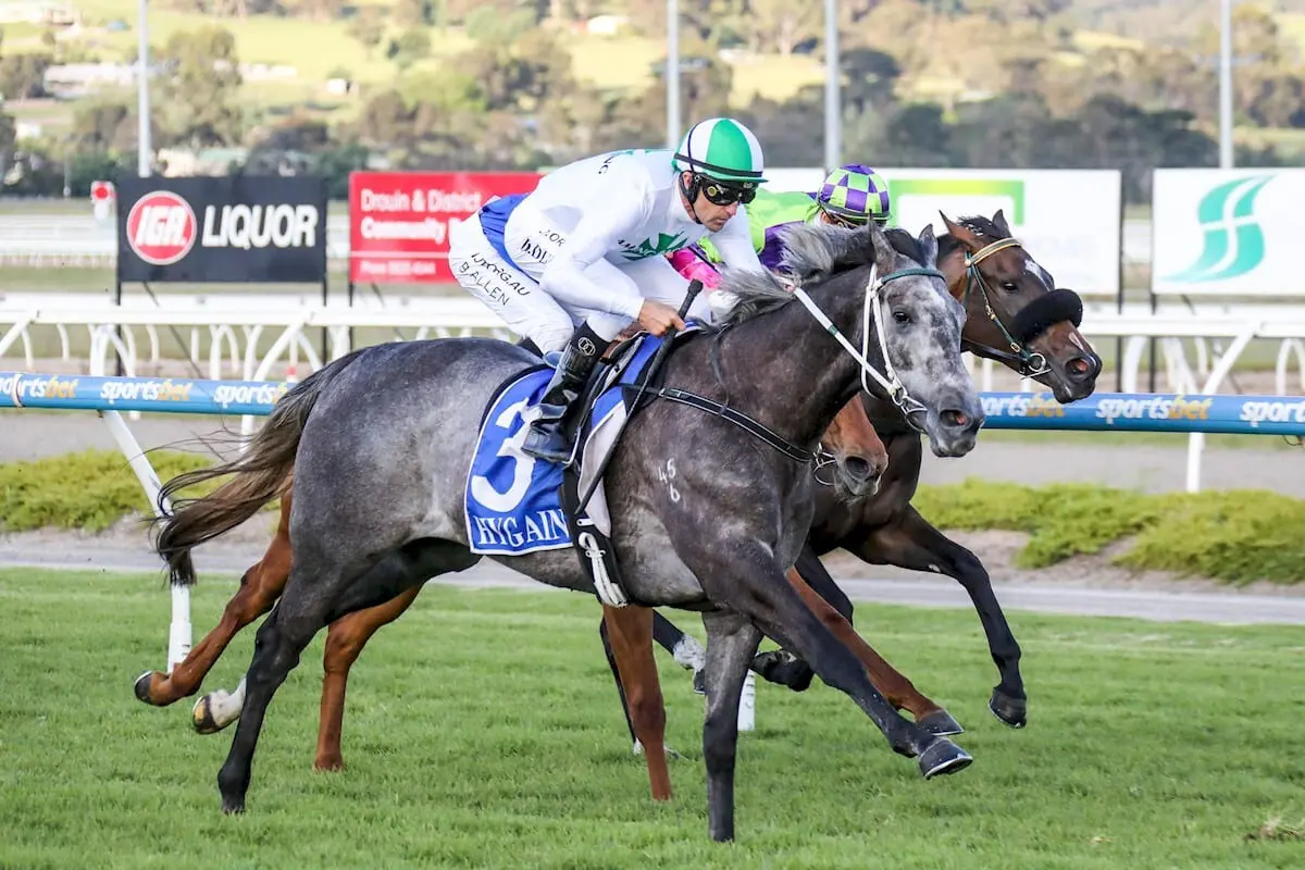 backing a horse race betting for dummies