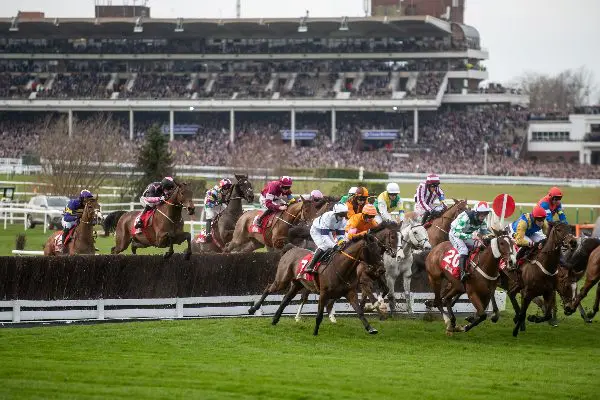 horse-race