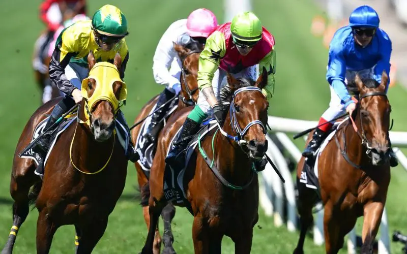 horse-racing