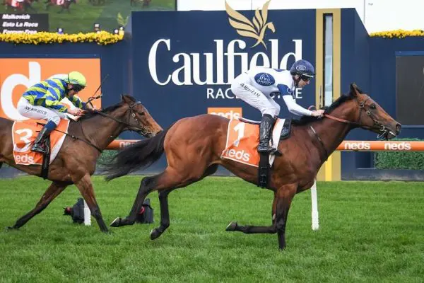 horse-racing-competition