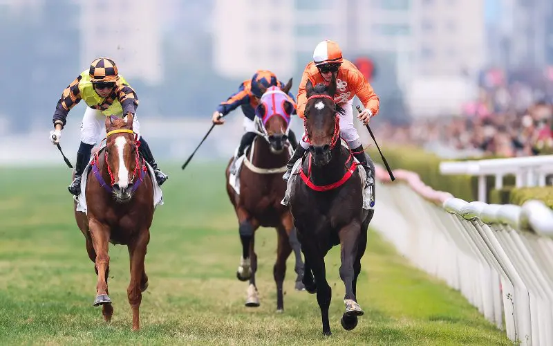 horse-racing