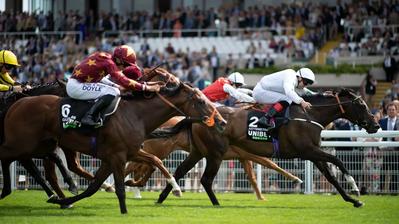 what does form mean in horse racing