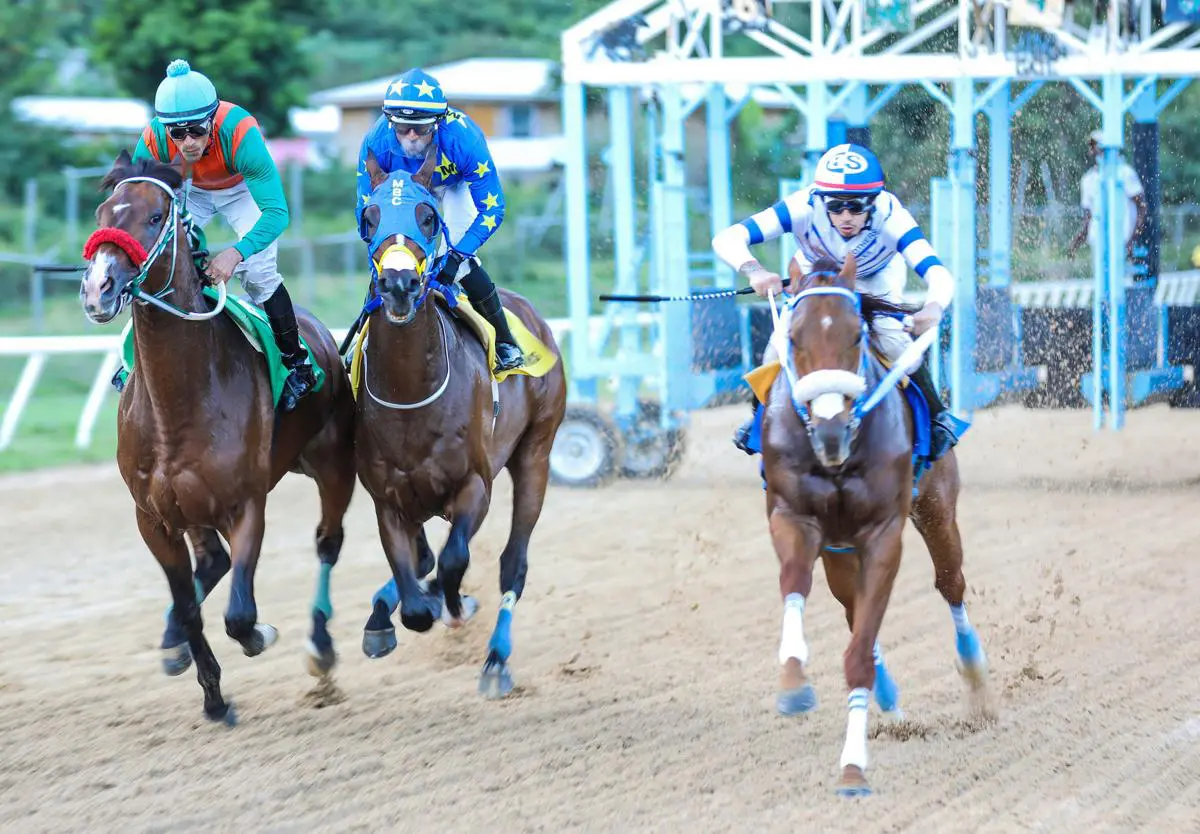 starting price sp horse racing betting odds