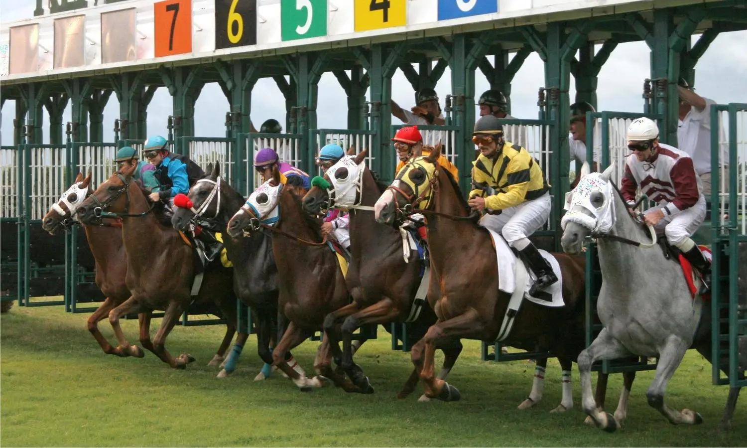 horse racing the starting price sp betting