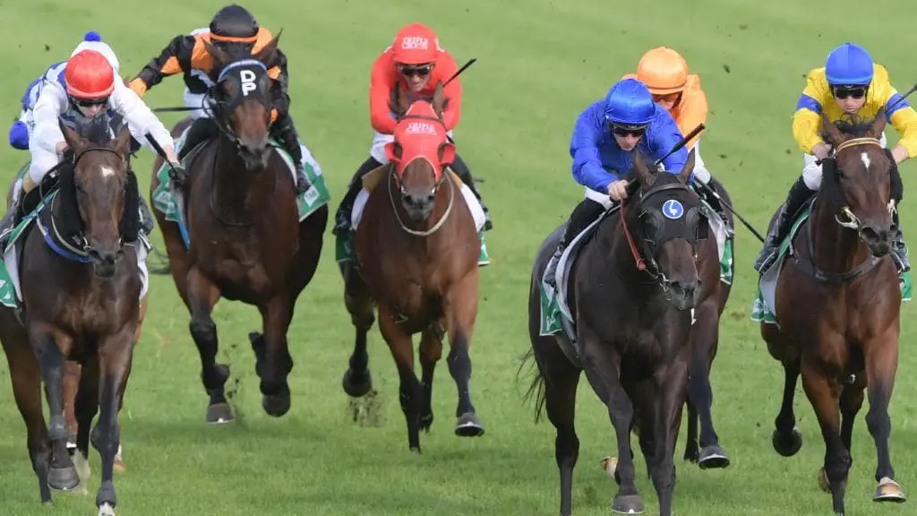 horse racing handicapping tips methods systems