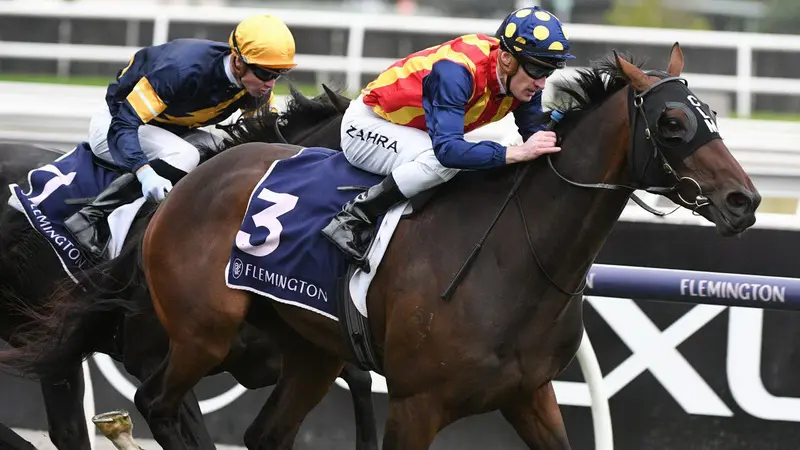 how to bet on the Melbourne Cup online