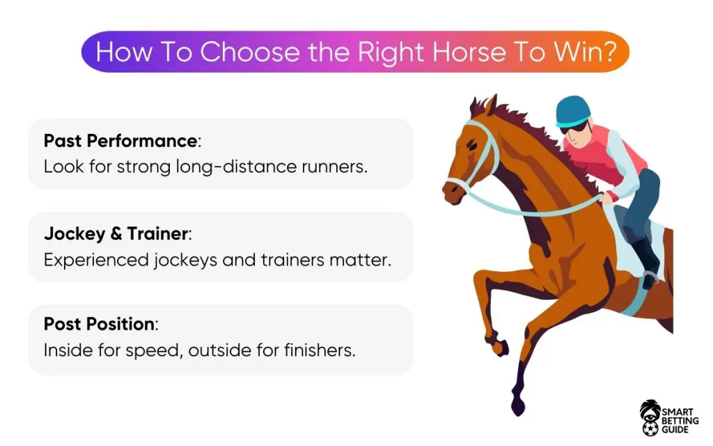 how-to-bet-on-the-belmont-stakes-winners