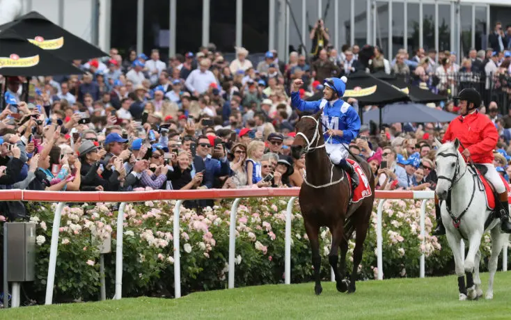 handicapping horses for a living