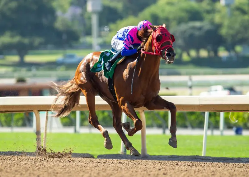 jockey