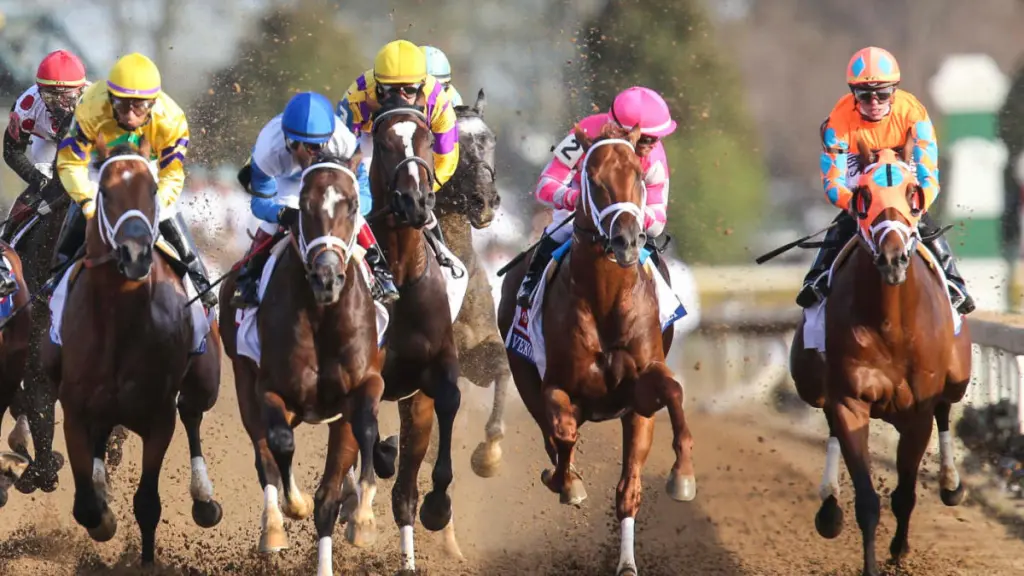 horse racing