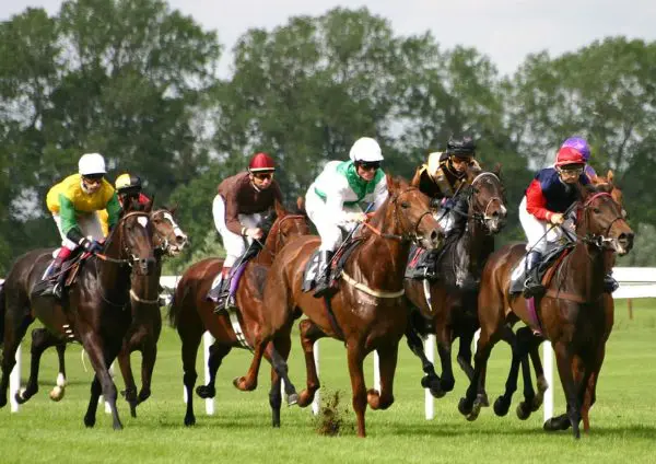major-horse-racing