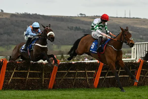 mares-hurdle
