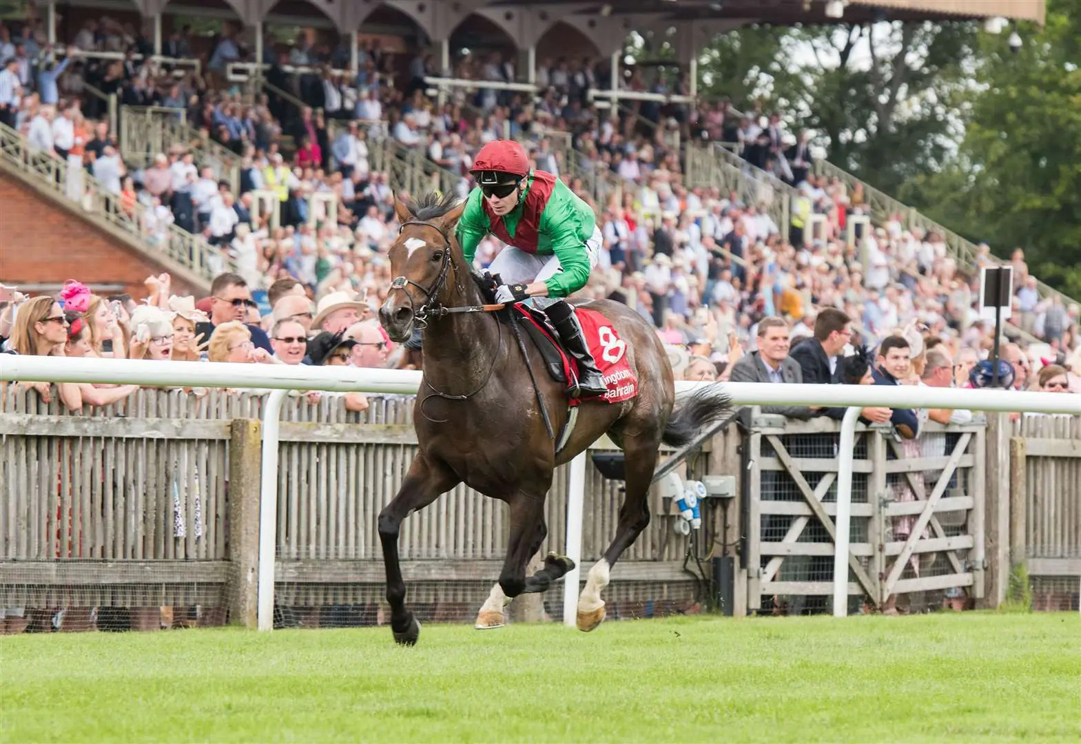 how to pick outsiders in horse racing