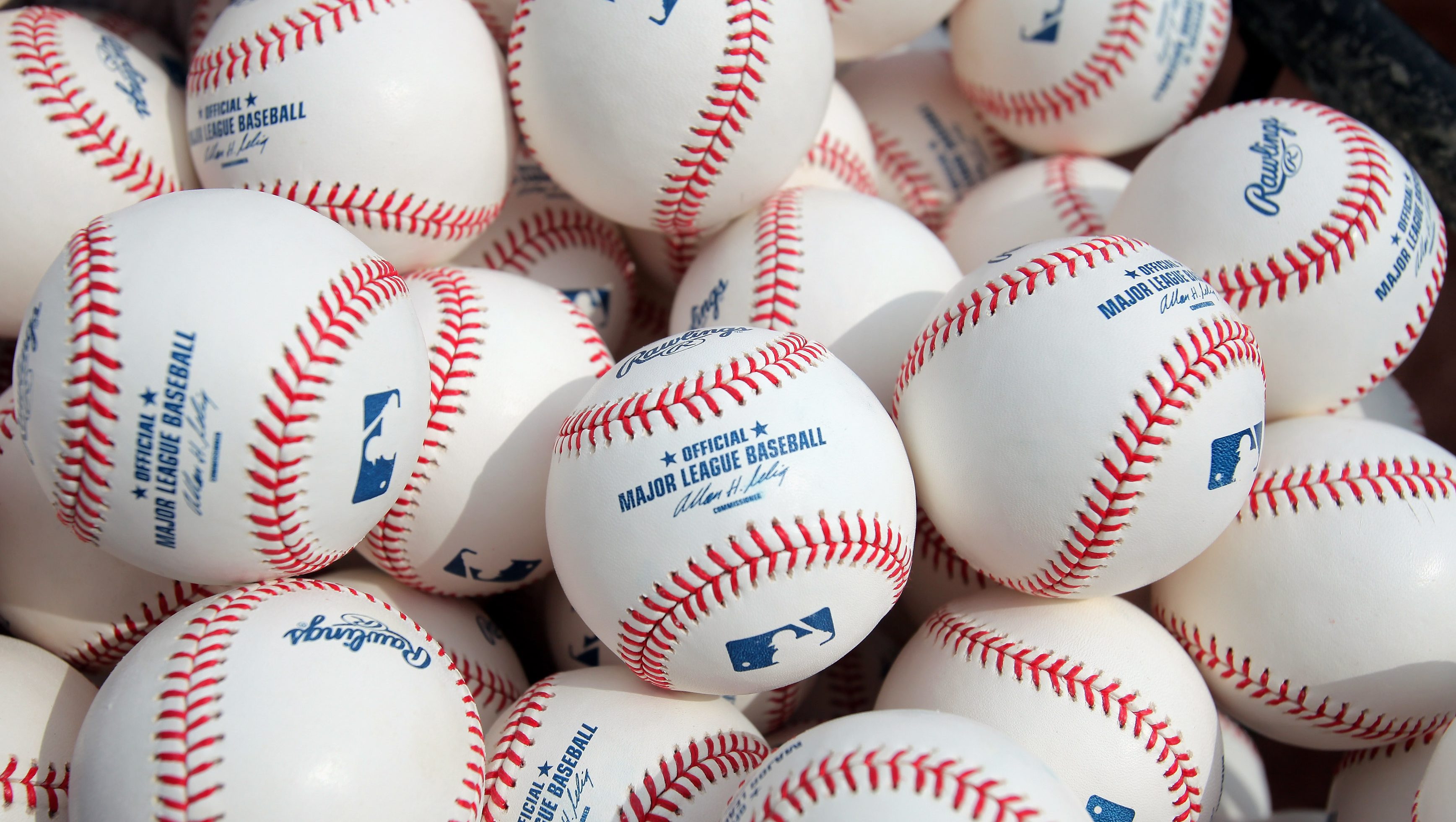 what is the new york yankees mascot