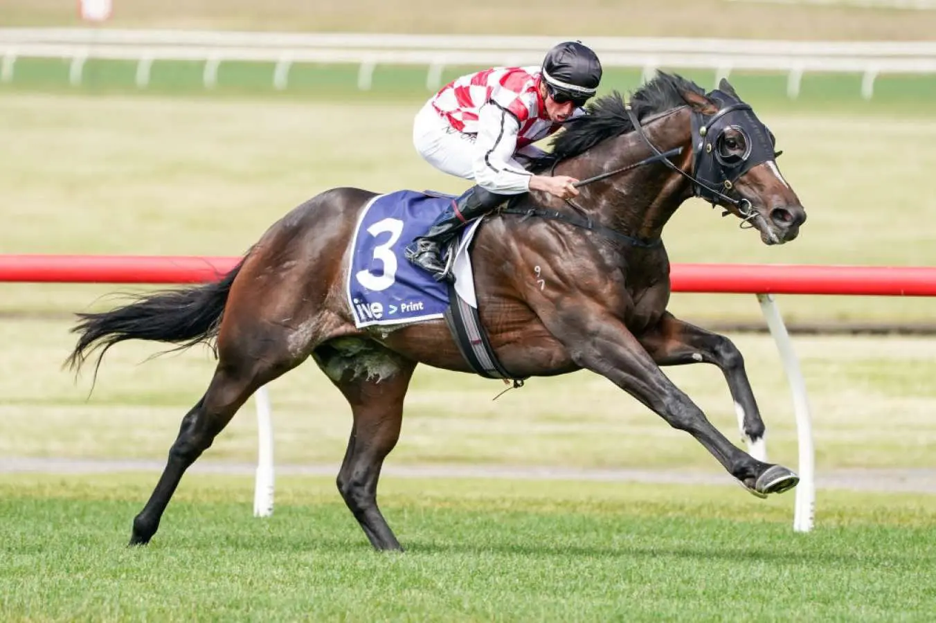 horse racing form numbers letters